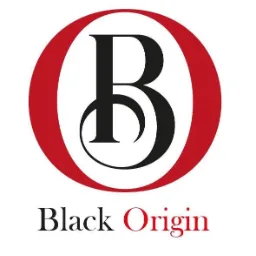 Black Origin IT